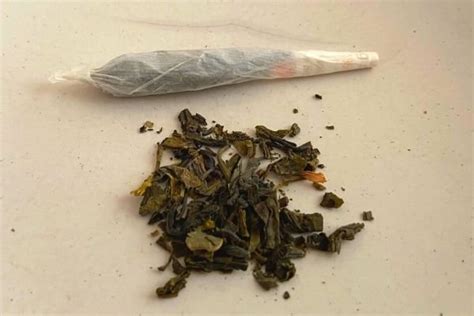 can you smoke green tea?